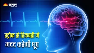 ब्रेन स्ट्रोक में दवा के साथ धूप भी है असरकारक (Image Source: Freepik)
