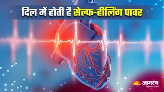 हार्ट अटैक के बाद अब खुद को 'रिपेयर' कर सकता है हमारा दिल (Image Source: Freepik)