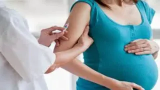 सांकेतिक तस्वीर।