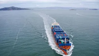 News Article Hero Image