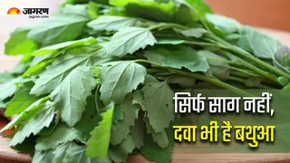 लिवर को डिटॉक्स कर देगा बथुआ का साग (Image Source: Freepik)