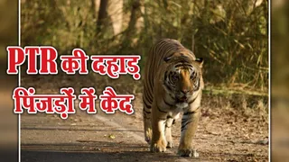 प्रतीकात्मक चित्र