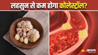 क्या खाली पेट लहसुन खाने से नसों में जमा गंदा कोलेस्ट्रॉल होता है कम? (Image Source: Freepik)