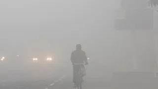बिहार के 8 जिलों में घने कोहरे का अलर्ट। फाइल फोटो