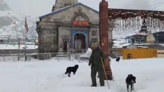 केदारनाथ धाम की सुरक्षा में जवानों के साथ तैनात श्वान। साभार-पुलिस