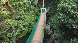 कोल्हान रेंज का सारंडा का जंगल प्रकृति का अनुपम तोहफा।