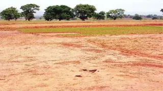 हापुड़ में सरकारी भूमि पर अवैध कब्जा। सांकेतिक तस्वीर