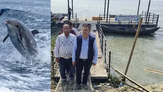 कटिहार में गंगा घाट पर डॉल्फिन मिलने की संभावना।
