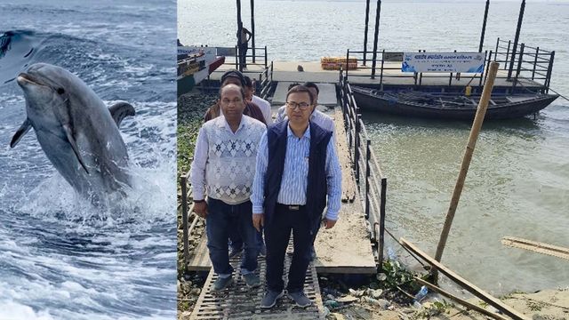 कट‍िहार : गंगा में दिखी डाल्फिन, नदी की पारिस्थितिकी और जल गुणवत्ता का अच्छा संकेत
