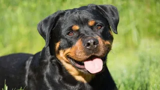 News Article Hero Image