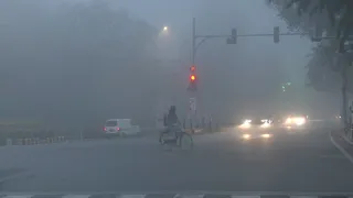 दिल्ली-एनसीआर और यूपी में आज सुबह से ही घना कोहरा छाया (फोटो- एएनआई)