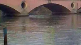 मामले की निष्पक्ष जांच की मांग। फाइल फोटो
