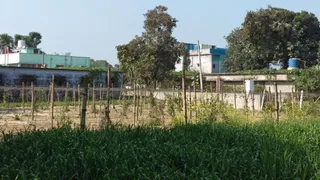 सरकारी जमीन पर दबंगों का कब्जा। (जागरण)