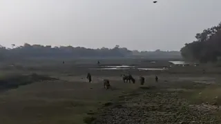 प्रयागराज जिले में गंगापार के फूलपुर रेंज में स्थित चिखड़ी झील। जागरण