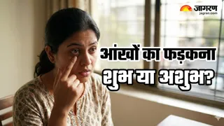 क्यों फड़कती हैं आंख? (Image Source: AI-Generated)
