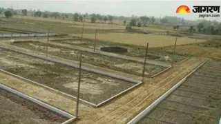 प्रतीकात्मक तस्वीर