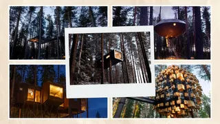 पेड़ों के बीच बना ऐसा होटल, जहां से दिखते हैं 'नॉर्दर्न लाइट्स' के अद्भुत नजारे (Image Source: treehotel.se)