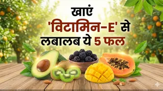 विटामिन ई से भरपूर ये फल त्वचा, बालों और हृदय के लिए बेहद फायदेमंद (Picture Credit- AI Generated)
