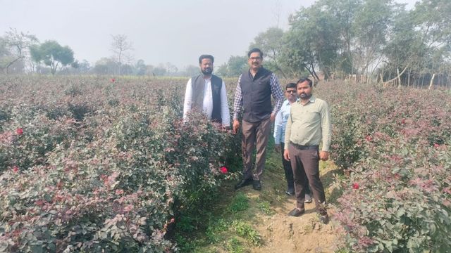 लखनऊ-अयोध्या और बाराबंकी में खुशबू बिखेर रहे बहराइच के गेंदा-गुलाब, खेती के लिए आगे आ रहे जिले के किसान
