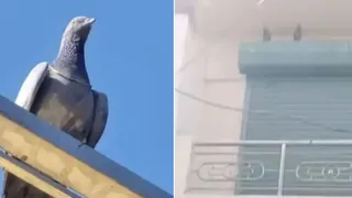 News Article Hero Image