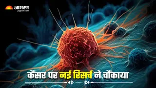 इम्यून सिस्टम को कैसे 'चकमा' देता है कैंसर? (Image Source: Freepik)
