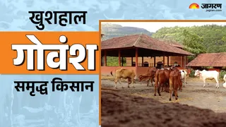 उत्तर प्रदेश की गोशालाएं बनेंगी आत्मनिर्भर
