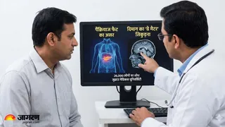 शरीर के इस अंग में जमा फैट है आपके ब्रेन का सबसे बड़ा दुश्मन (Image Source: AI-Generated)