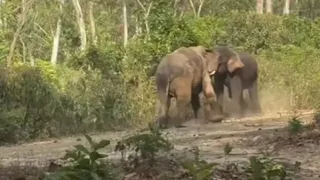 सांकेतिक तस्वीर।