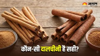 दालचीनी खरीदने से पहले हो जाएं सावधान (Image Source: AI-Generated)