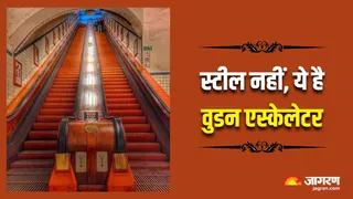आज भी चालू हालत में है बेल्जियम का 100 साल पुराना वुडन एस्केलेटर (Image Source: Instagram)