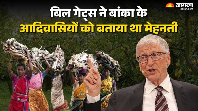 बांका की आदिवासी महिलाओं का नींबू बागवानी में कमाल, बिल गेट्स भी हुए थे मुरीद
