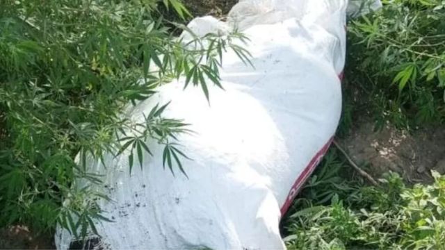 सड़क किनारे पड़ा था बोरा, लाश का मच गया हल्ला; पुलिस ने खोला तो निकला जिंदा इंसान
