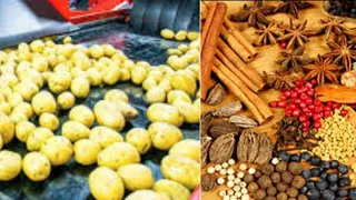 हिमाचल प्रदेश सरकार आलू प्रसंस्करण केंद्र और स्पाइस पार्क स्थापित करेगी। प्रतीकात्मक फोटो