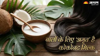 बालों को घना और मजबूत बनाने के लिए ऐसे करें नारियल के दूध का इस्तेमाल (Picture Credit- AI Generated)