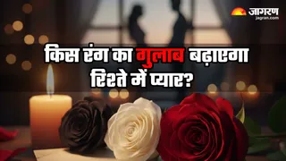 इस वेलेंटाइन डे अपने पार्टनर के साथ दूर करें रिश्तों की कड़वाहट (Image Source: AI-Generated)