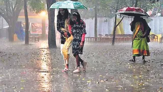 उत्तर भारत में ठंड की विदाई। (फाइल)