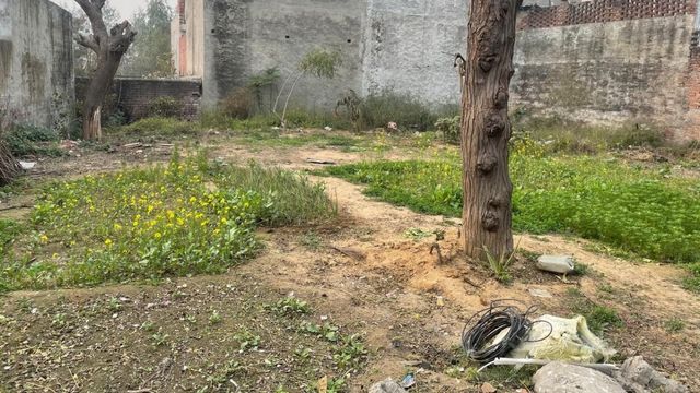 जालंधर में गजब का खेल! मृतक के फर्जी आधार से करवाई प्लॉट की रजिस्ट्री; पूर्व पार्षद समेत चार पर केस
