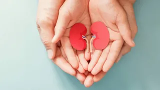 पतियों को किडनी देकर बचाई जान। फोटो: सांकेतिक