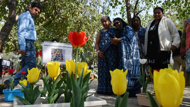 दिल्ली में फ्लावर शो में दिखी प्रकृति की सुंदरता, फूलों की घाटी जैसा नजारा; देखें तस्वीरें