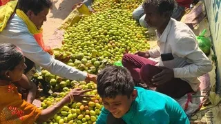 बेर की खरीदारी करते लोग। जागरण