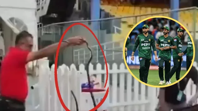  कोलंबो में महामुकाबले से पहले पाकिस्तान के डगआउट में निकला सांप, मचा हड़कंप-