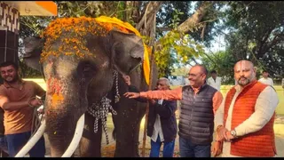 अरुणाचल प्रदेश से प्रतापगढ़ पहुंचे हाथी को दुलारते लोग।