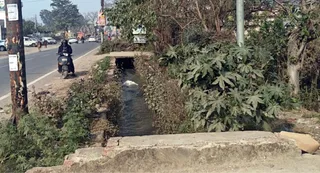 News Article Hero Image