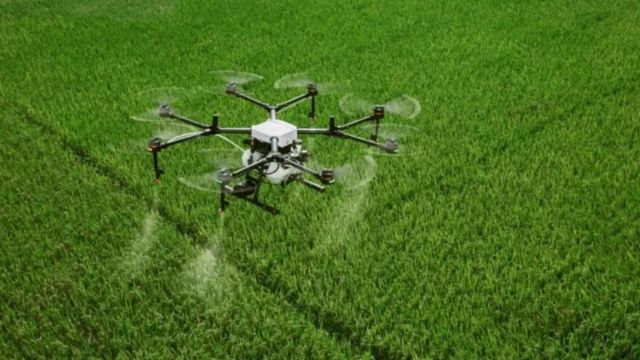 AI तकनीक से बदलेगी हाइड्रोपोनिक खेती की सूरत, होगा 3 गुना अधिक उत्पादन