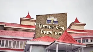 News Article Hero Image