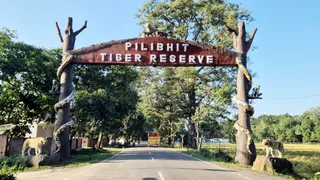 मुस्तफाबाद स्थित पीलीभीत टाइगर रिजर्व का गेट : जागरण