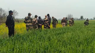 बीएसएफ व पंजाब पुलिस की तरफ से किया जा रहा सर्च।