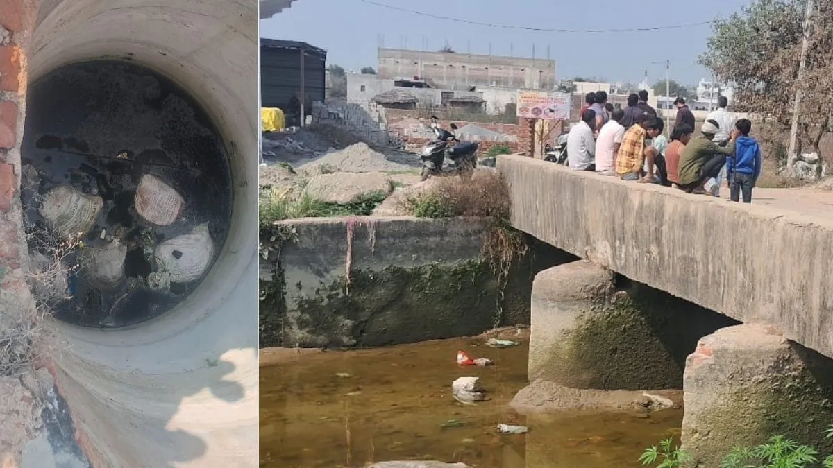 फिल्म सिटी क्षेत्र के कुएं व रजवाहे से 10 बोरों में मवेशियों के अवशेष बरामद,  ग्रामीणों और गोरक्षक दल ने किया हंगामा - cattle remains found in greater  noida canal ...