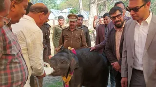 मादा शिशु को दध पिलाते वन मंत्री सुबोध उनियाल। जागरण