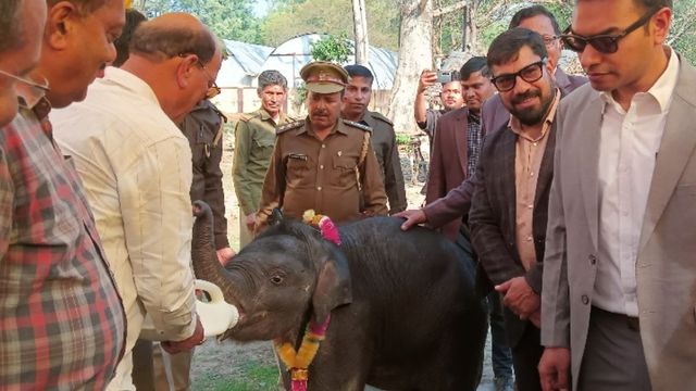 उत्तराखंड में वैदिक मंत्रोच्चार के साथ शिशु हथिनी का किया नामकरण, मालन नदी से बचाई गई थी 'मालिनी'
